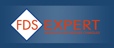 Logo-fds-expert